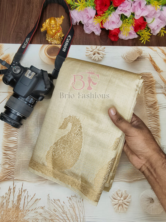 Tussar Silk Saree - Multi Colors